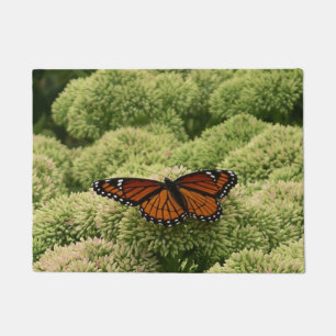 Tapete Borboleta Viceroy Belo Caráter Fotografia
