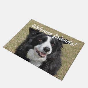 Tapete Border Collie