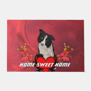 Tapete Border collie bonito