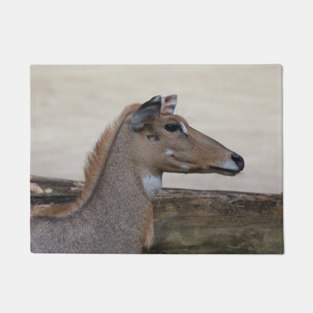 Tapete Boselaphus tragocamelus (Frente)