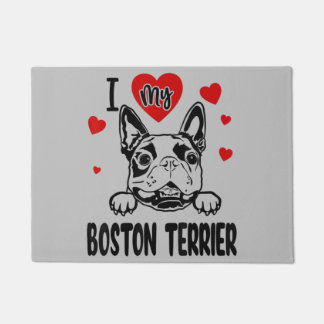 Tapete Boston Terrier, Boston Terrier pai, amante de cach