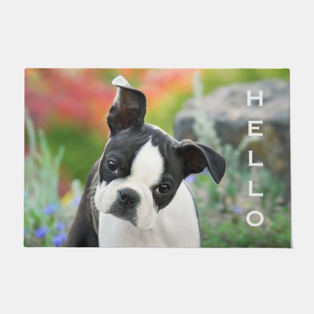 Tapete Boston Terrier Dog Cute Puppy Animal Head - Olá (Frente)