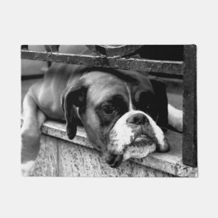 Tapete Boxer Dog On Windowsill dmcn