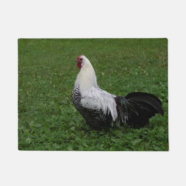 Tapete Brakel Hahn (Frente)