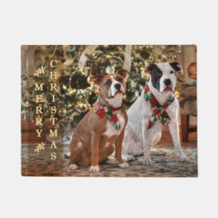 Tapete Breve natal Rescut Pitbull e América Bull Dog
