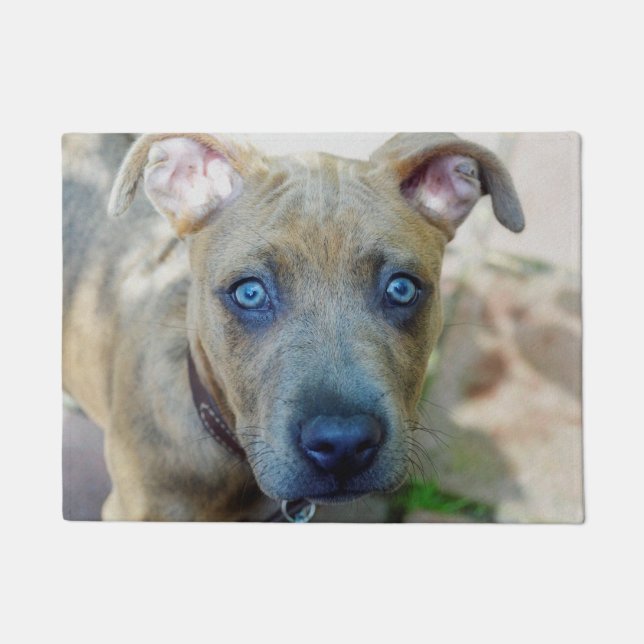 Tapete Brindle Pit Bull Puppy por Shirley Taylor (Frente)