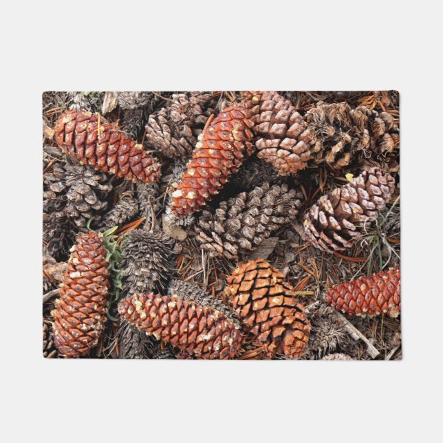 Tapete Bristlecone Pine Cones (Frente)