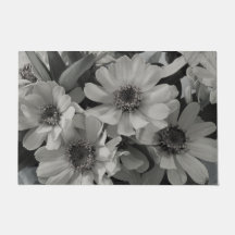 Brown Eyed Susan Flowers