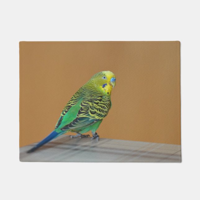 Tapete Budgie (Frente)