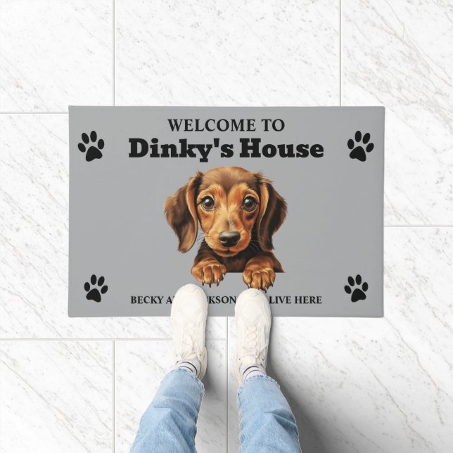 Tapete Cachorro Dachshund Fofo (Interior)