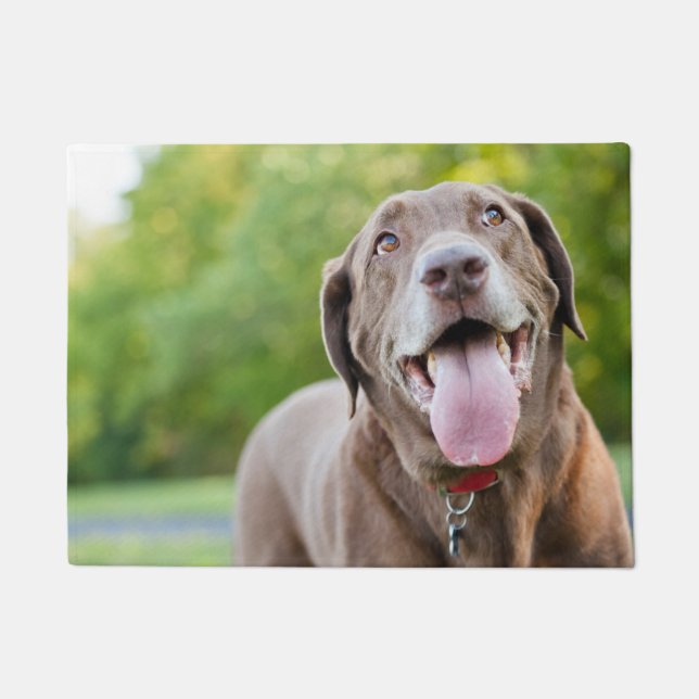 Tapete Cachorro Labrador Chocolate (Frente)