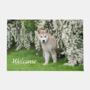Tapete Cachorro Malamute em Flores Foto  