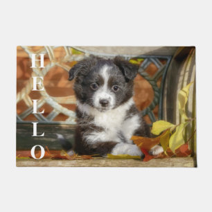 Tapete Cachorro Mini Aussie Shepherd Cachorro Bi-Color Pu