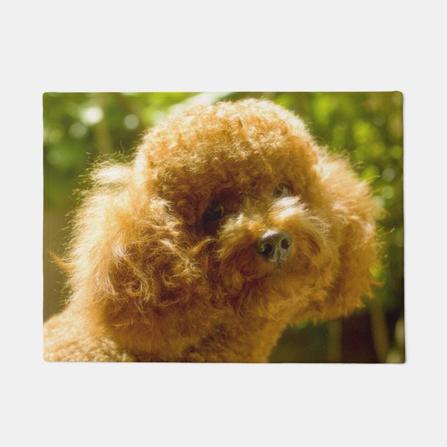 Tapete Cachorro Poodle. (Frente)