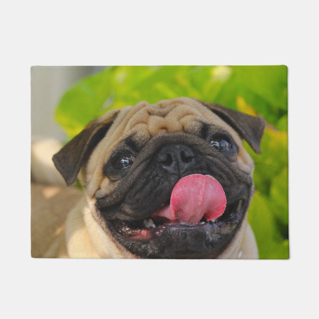Tapete Cachorro Pug. (Frente)