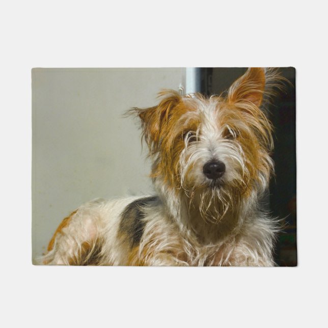 Tapete Cachorro Westie. (Frente)