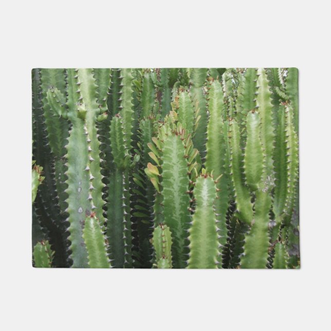Tapete Cactus Garden (Frente)