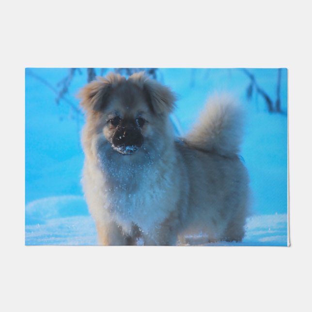 Tapete Cães de Espanhol Tibetano. (Frente)