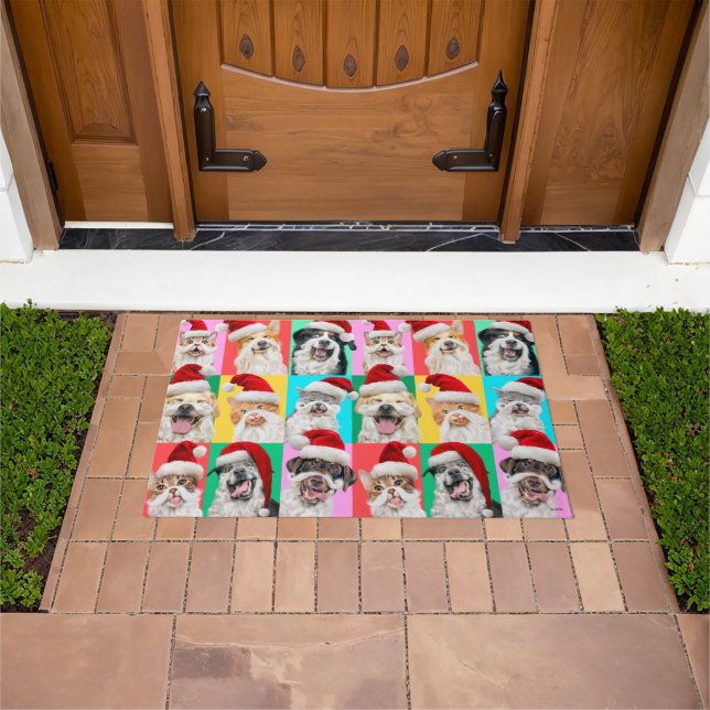 Tapete Cães e Gatos com Barba de Papai Noel (Ar livre)