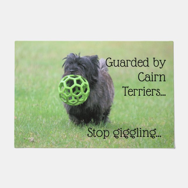 Tapete Cairn terrier (Frente)