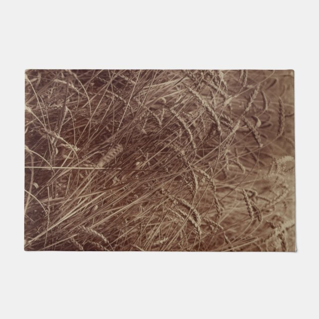 Tapete Campo de trigo (por Eugène Atget) (Frente)