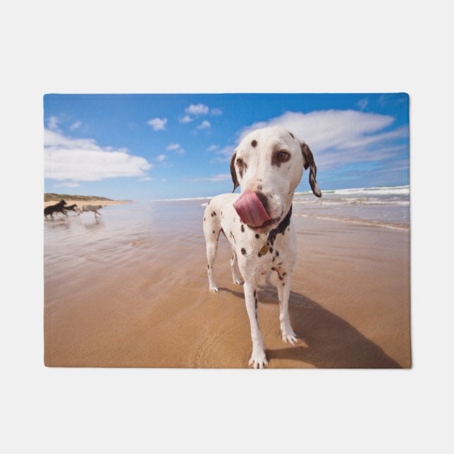 Tapete Cão Dalmatian na praia (Frente)