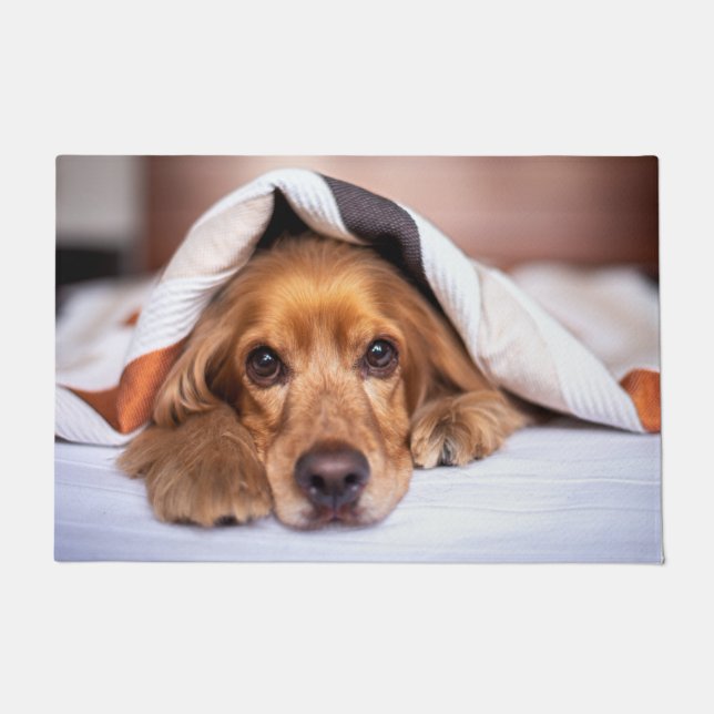 Tapete Cão de Cocker Spaniel Inglês (Frente)