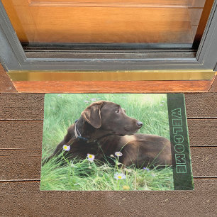 Tapete Cão de labrador retriever do chocolate em flores