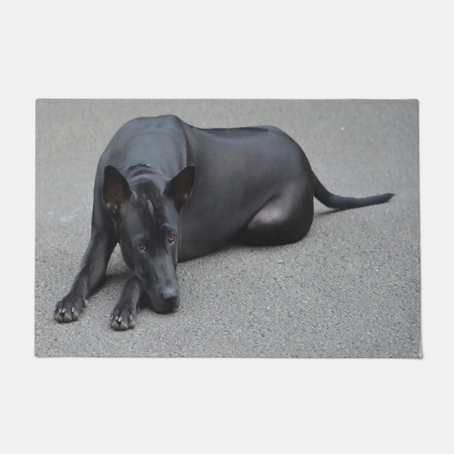 Tapete Cão Ridgeback Tailandês (Frente)
