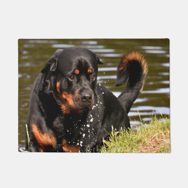 Tapete Cão Rottweiler (Frente)