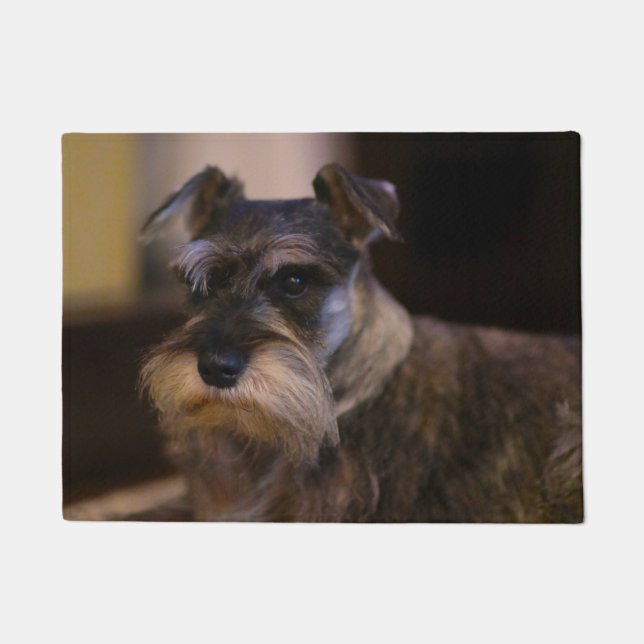 Tapete Cão Schnauzer (Frente)