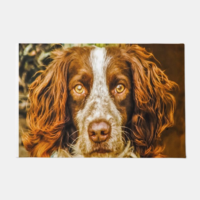 Tapete Cão Springer Spaniel. (Frente)