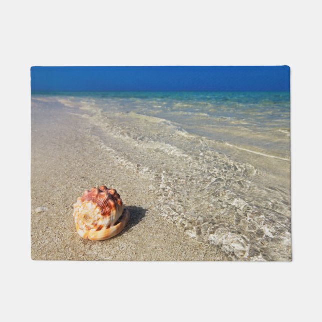 Tapete Capacete Shell em Lagoon| tropical Cassis Rufa (Frente)