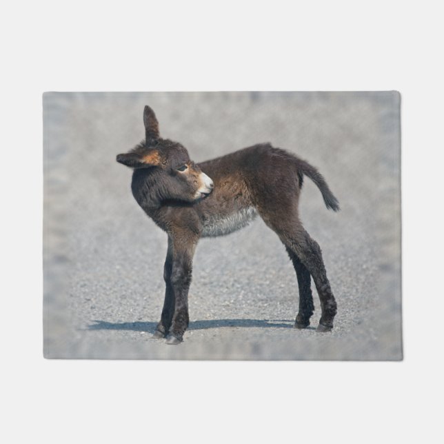 Tapete Capacho de Burro (Frente)