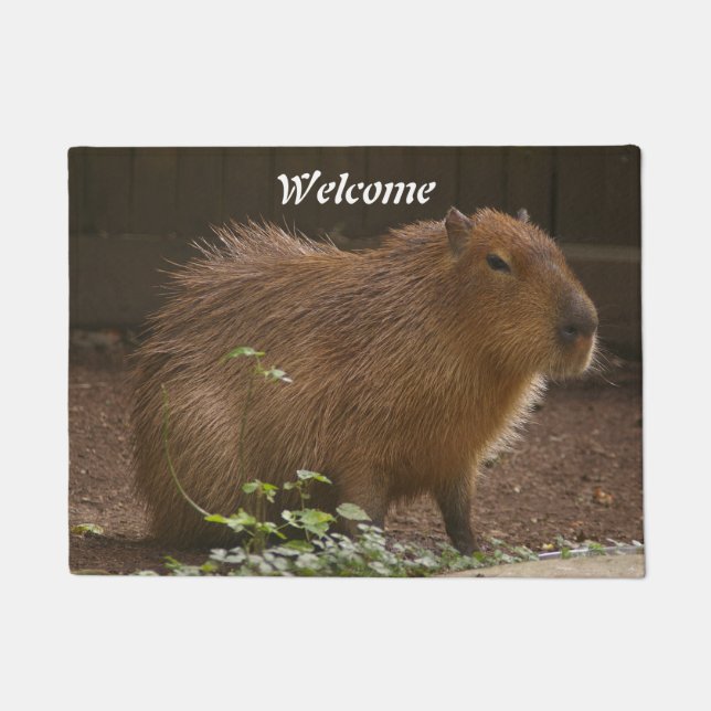 Tapete Capybara (Frente)