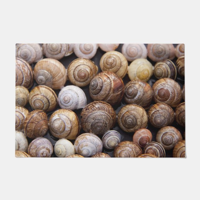 Tapete Caracóis (Frente)