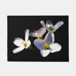 Tapete Cardamine Pratensis Flowers dmcnm