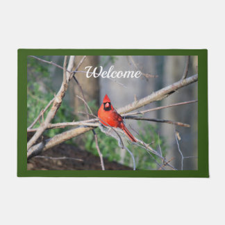 Tapete Cardinal Primavera Woods