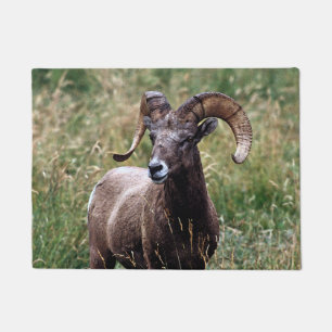 Tapete Carneiros de Bighorn das montanhas rochosas
