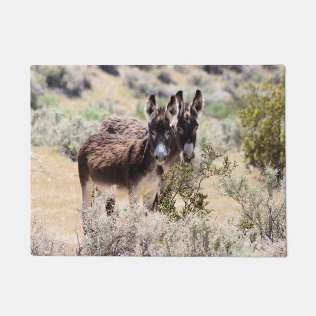 Tapete Casal Wild Burro no Central Nevada (Frente)