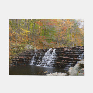 Tapete Cascata em Laurel Hill State Park I