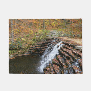 Tapete Cascata em Laurel Hill State Park II