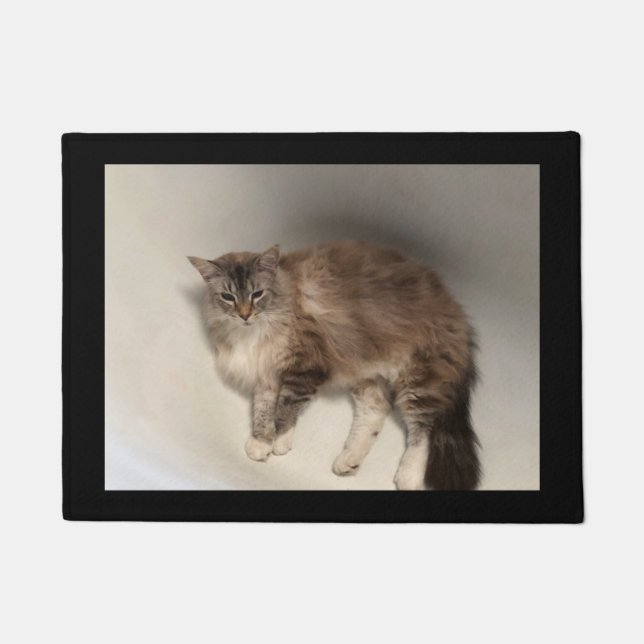Tapete Cat Doormat (Frente)