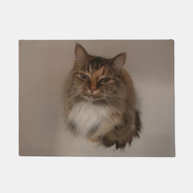 Tapete Cat Doormat (Frente)