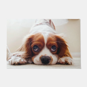 Tapete Cavaleiro Rei Charles Spaniel