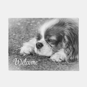 Tapete Cavalier de Dormir