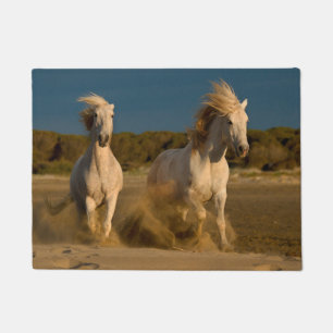 Tapete Cavalos brancos que funcionam na praia Camargue,