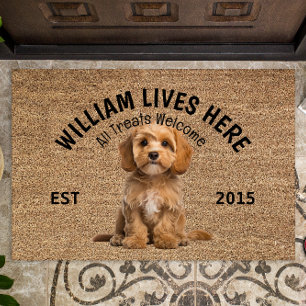 Tapete Cavapoo Personalizou a Porta do Cachorro