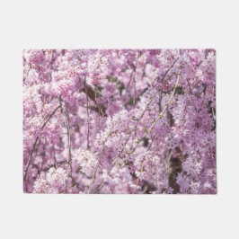 Tapete Cherry Blossom Primavera