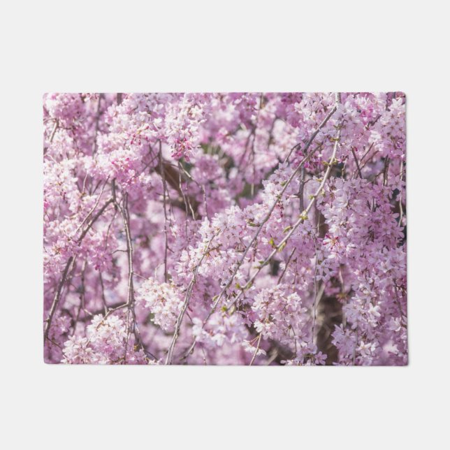 Tapete Cherry Blossom Primavera (Frente)